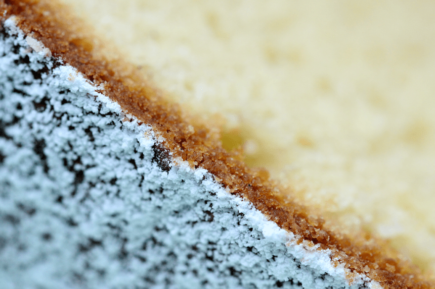 Almond cake
